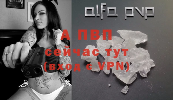 спиды Валдай