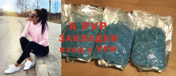 шишки Мостовской