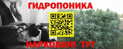 стафф Гагарин