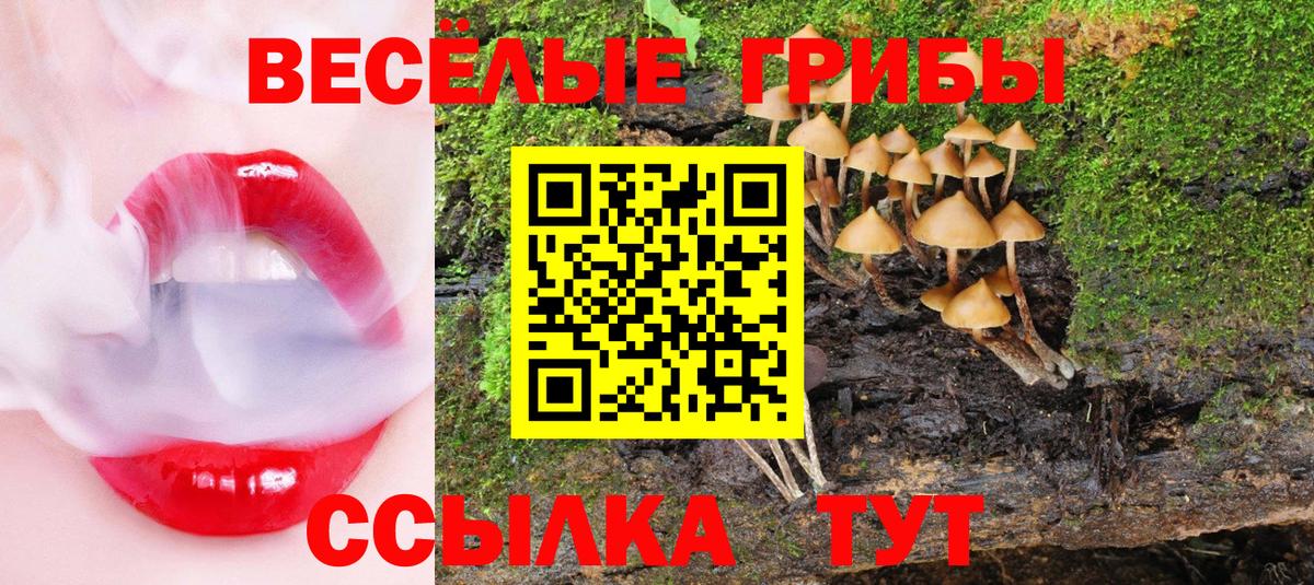 Псилоцибиновые грибы ЛСД Новомосковск