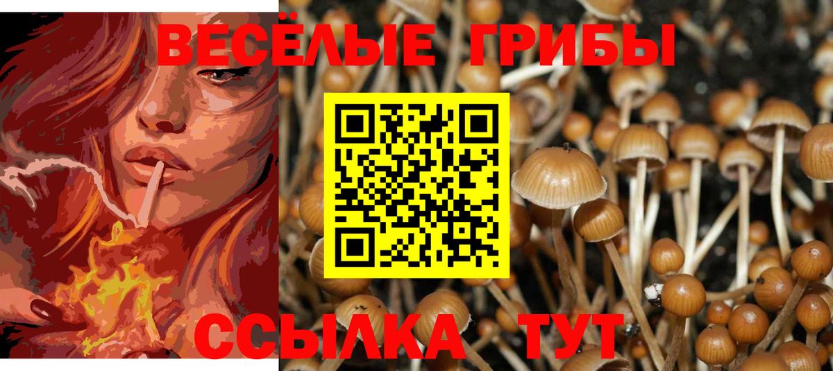 хочу наркоту  Галлюциногенные грибы GOLDEN TEACHER  Вход с VPN  Новомосковск 