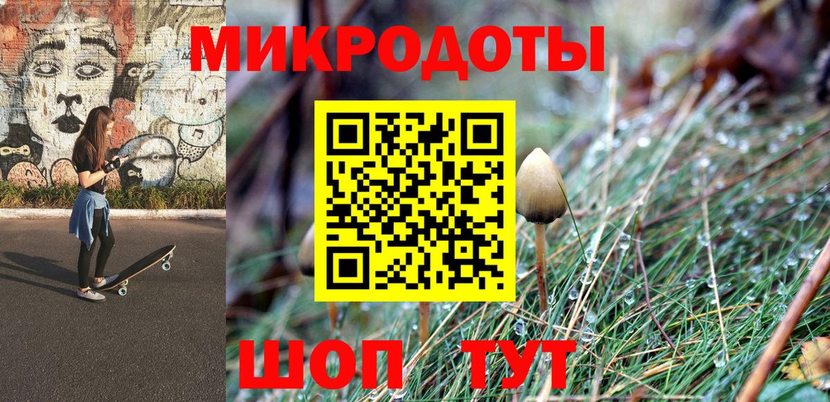 Галлюциногенные грибы мицелий Новомосковск