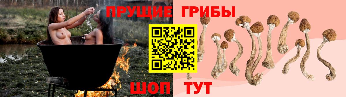 Псилоцибиновые грибы мицелий  Новомосковск 